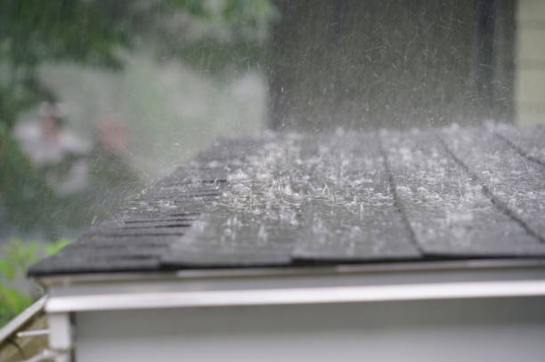 Best Rubber Roofing (EPDM, TPO)  in Sugar Grove, IL